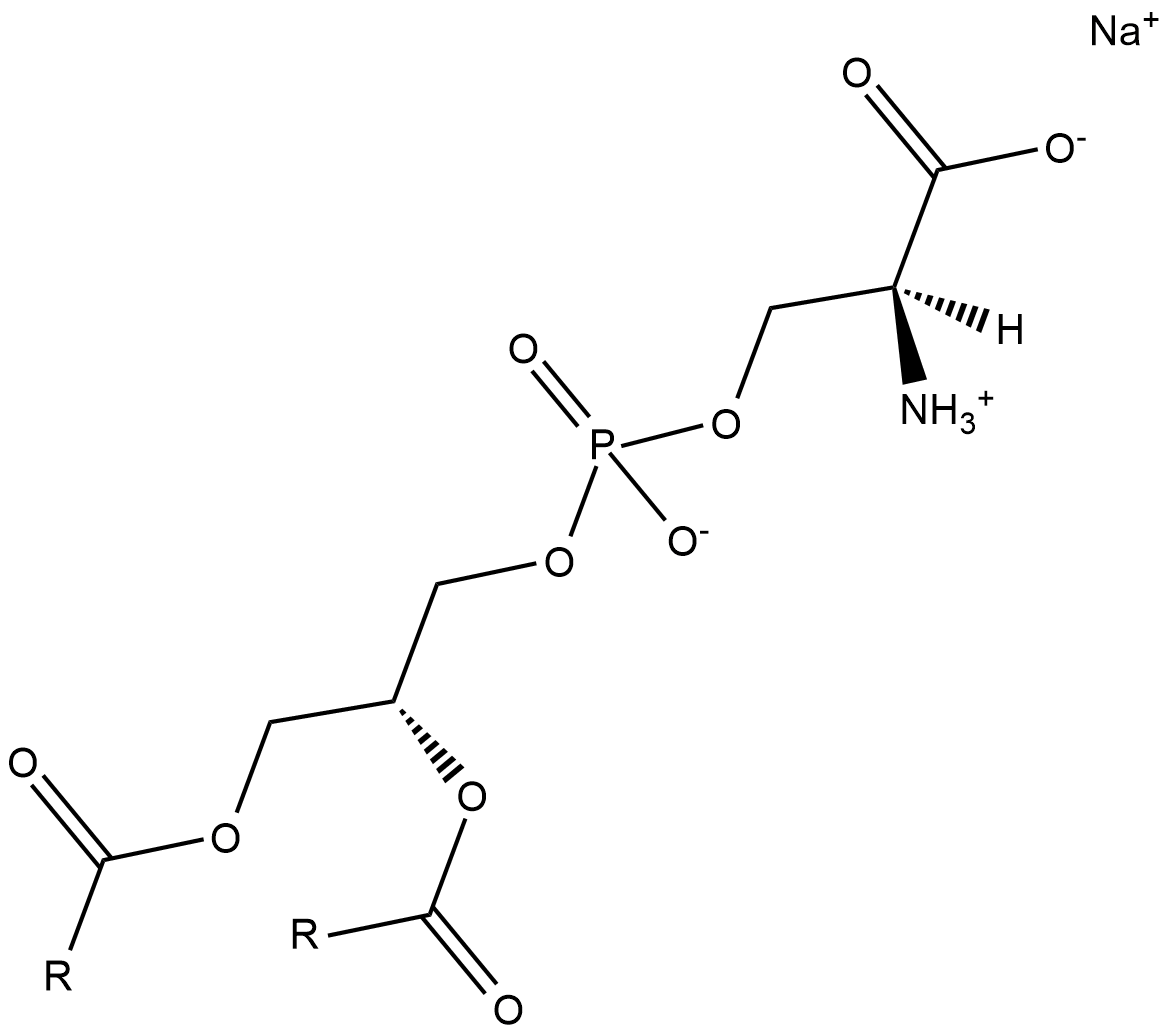 Phosphatidylserines(sodium salt)ͼƬ