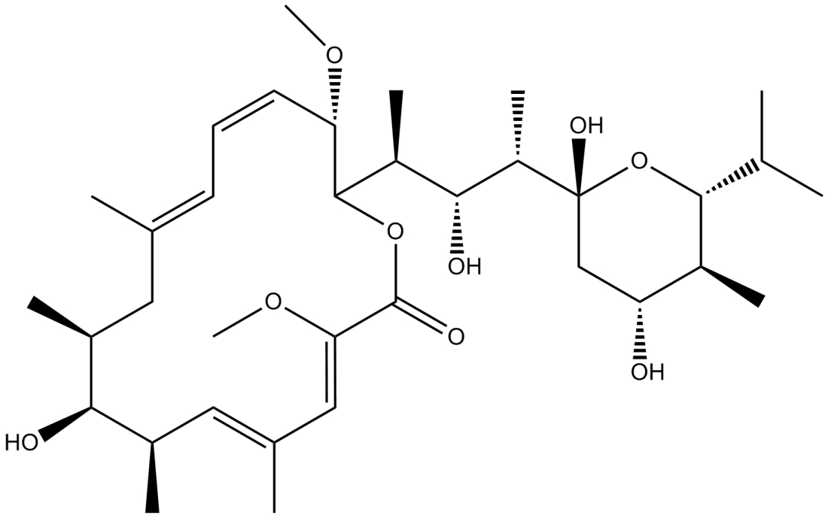 Bafilomycin A1ͼƬ