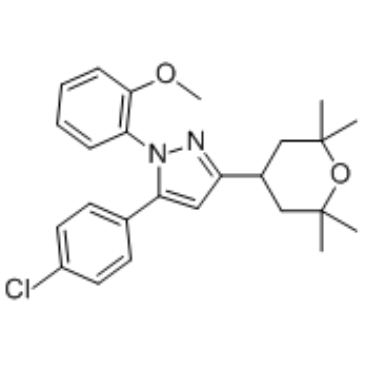 Cav 2,2 blocker 1ͼƬ