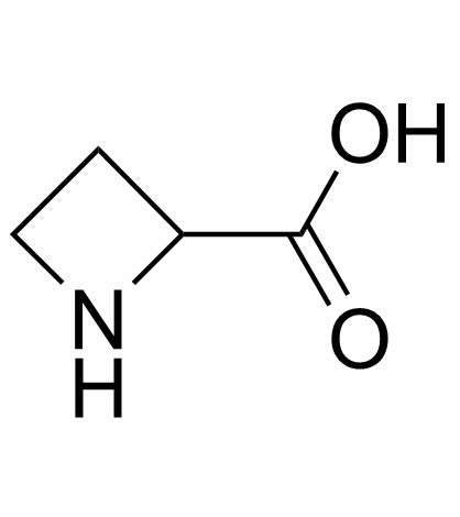 Azetidine-2-carboxylic acidͼƬ