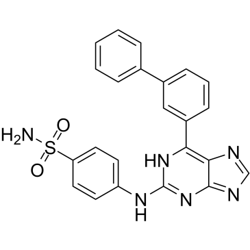 CDK2-IN-4ͼƬ