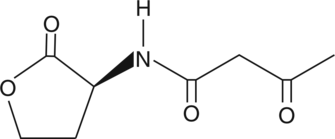 N-3-oxo-butyryl-L-Homoserine lactoneͼƬ