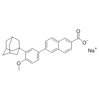 Adapalene sodium saltͼƬ