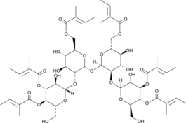 Actinotetraose HexatiglateͼƬ