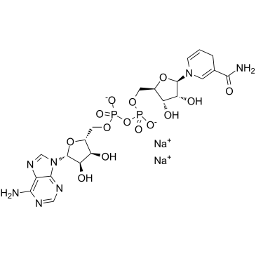 NADH disodium saltͼƬ