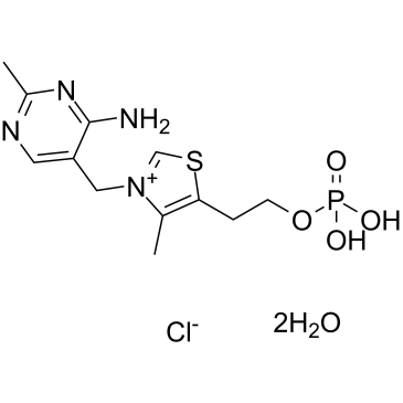 Thiamine monophosphate chloride(dihydrate)ͼƬ