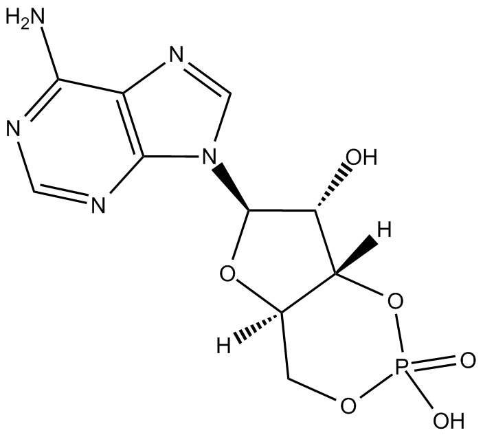 Cyclic AMPͼƬ