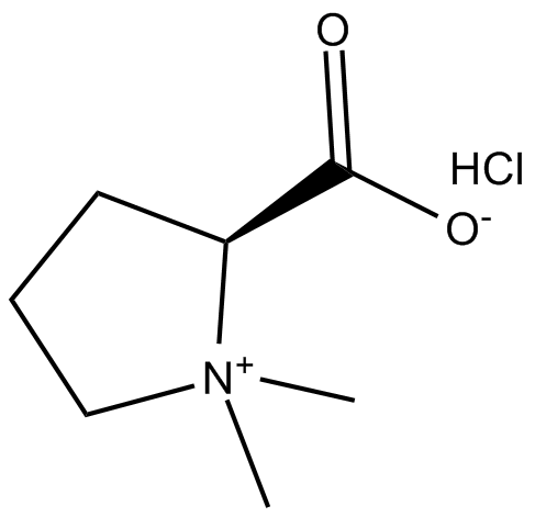 Stachydrine(hydrochloride)ͼƬ