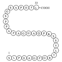 Pro-Adrenomedullin(153-185),humanͼƬ