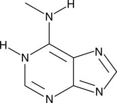 N6-MethyladenineͼƬ