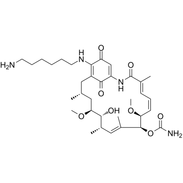 AminohexylgeldanamycinͼƬ