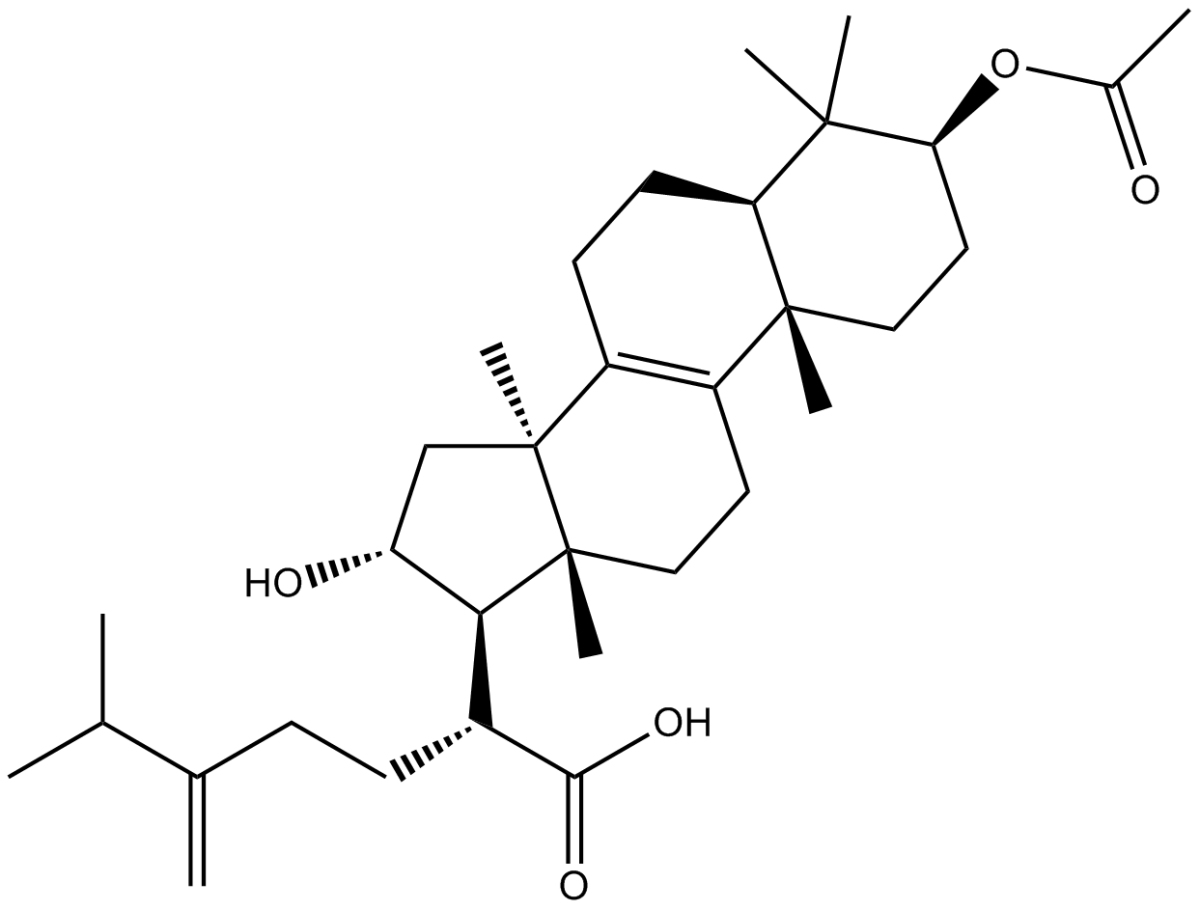 Pachymic acidͼƬ