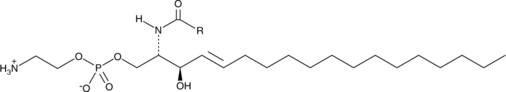 Ceramide Phosphoethanolamines(bovine)ͼƬ