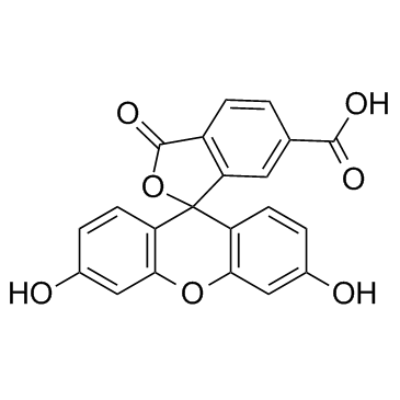 6-FAM(6-Carboxyfluorescein)图片