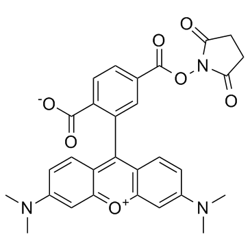 6-TAMRA-SE(6-TAMRA-NHS ester)图片