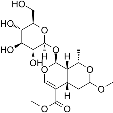 7-O-Methyl morronisideͼƬ