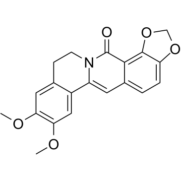 8-OxoepiberberineͼƬ