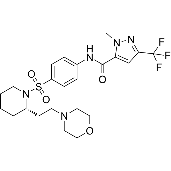 ERDRP-0519ͼƬ