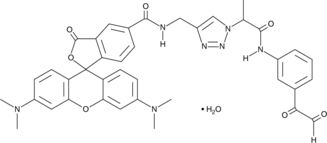 Citrulline-specific Probe-RhodamineͼƬ