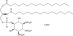 PtdIns-(3,4,5)-P3(1,2-dipalmitoyl)(sodium salt)ͼƬ