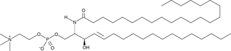 C22 Sphingomyelin(d18:1/22:0)ͼƬ