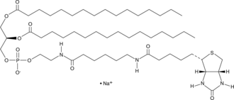 1,2-Dipalmitoyl-sn-glycero-3-PE-N-(cap biotin)(sodium salt)ͼƬ