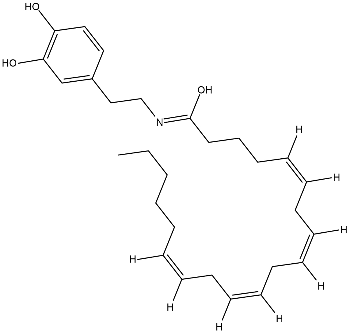 N-Arachidonoyl Dopamine图片