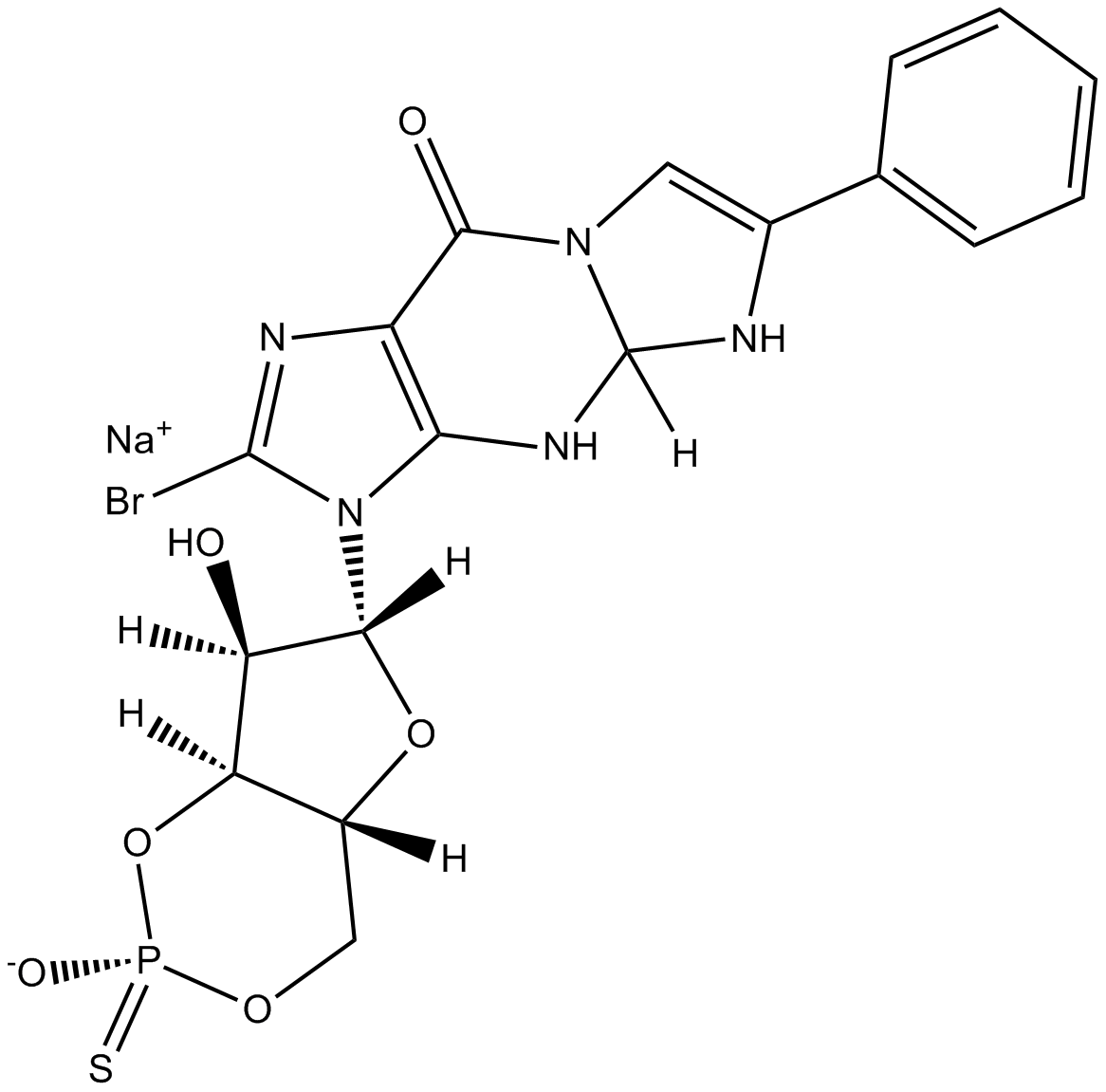 Rp-8-Br-PET-cGMPSͼƬ