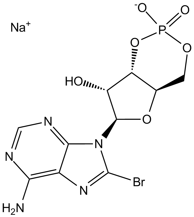 8-Bromo-cAMP,sodium saltͼƬ