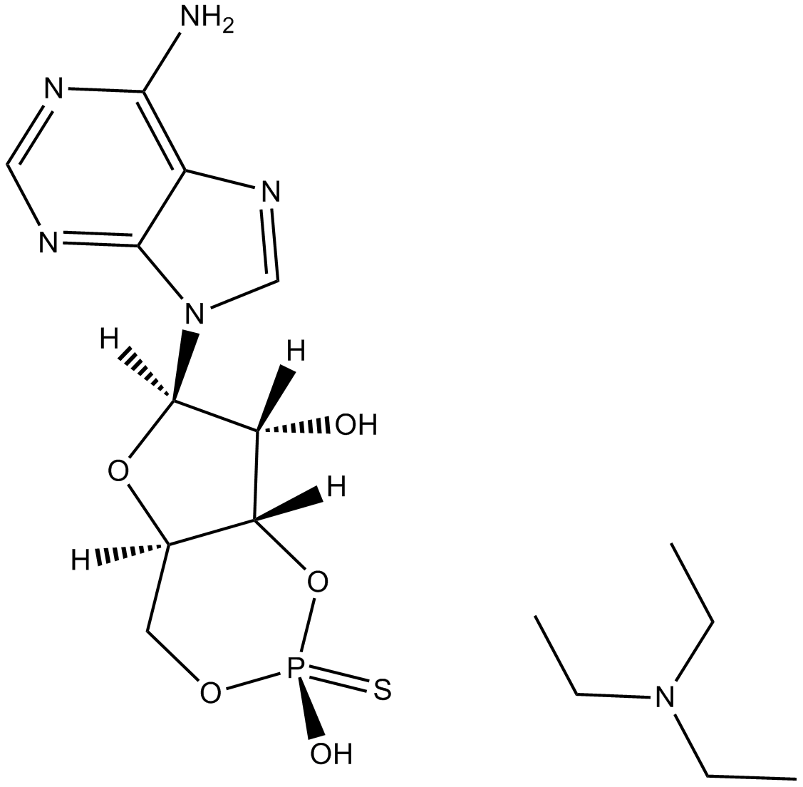 cAMPS-Rp,triethylammonium salt图片