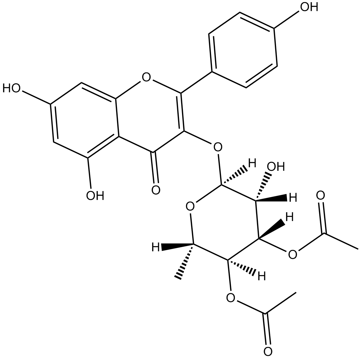 SL 0101-1图片