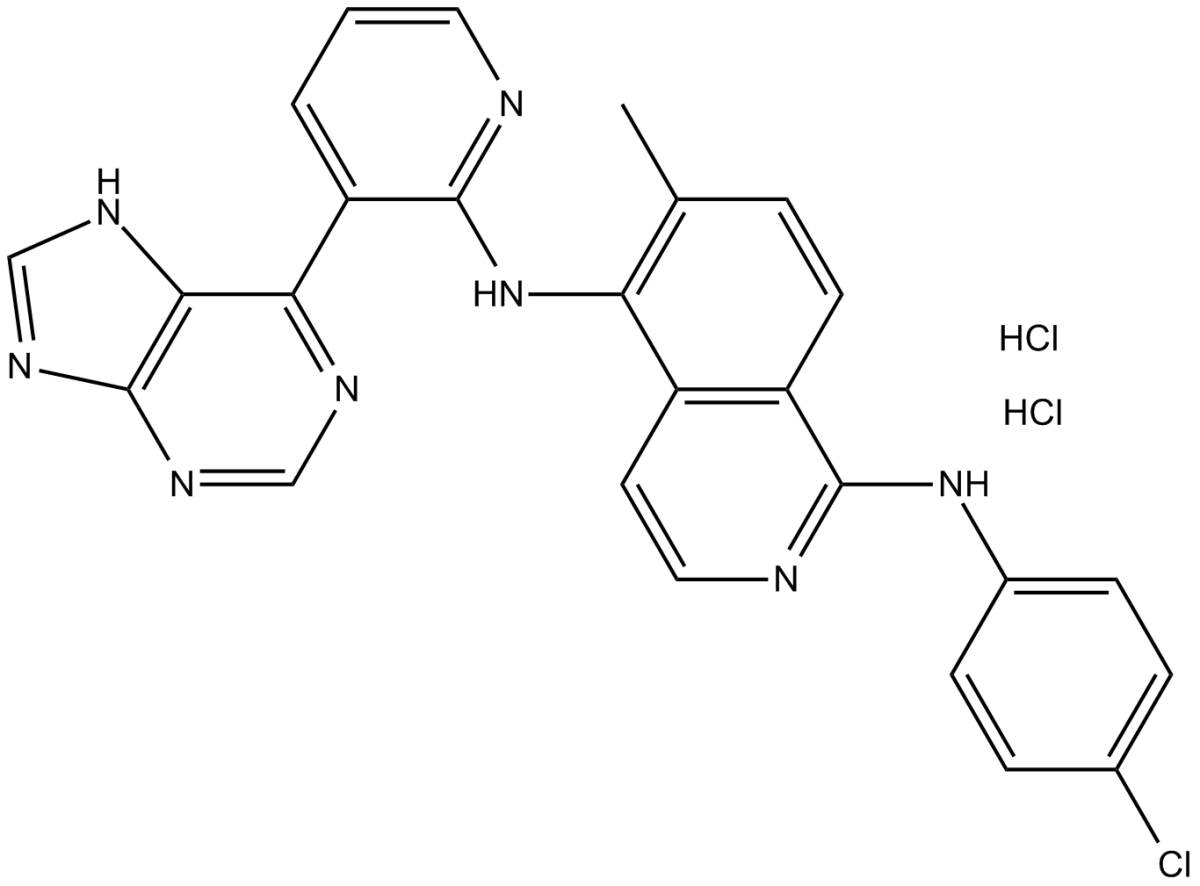 B-Raf inhibitor 1 dihydrochlorideͼƬ