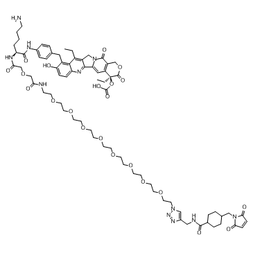 CL2A-SN-38图片