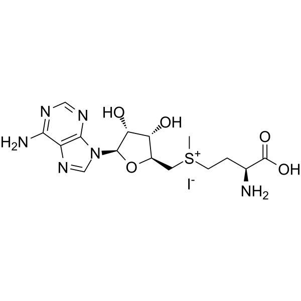 S-Adenosyl-L-methionine iodideͼƬ