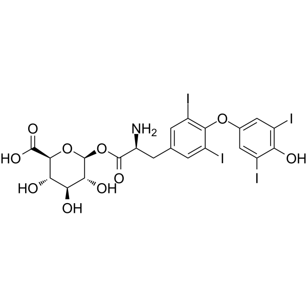 Levothyroxine acyl glucuronideͼƬ