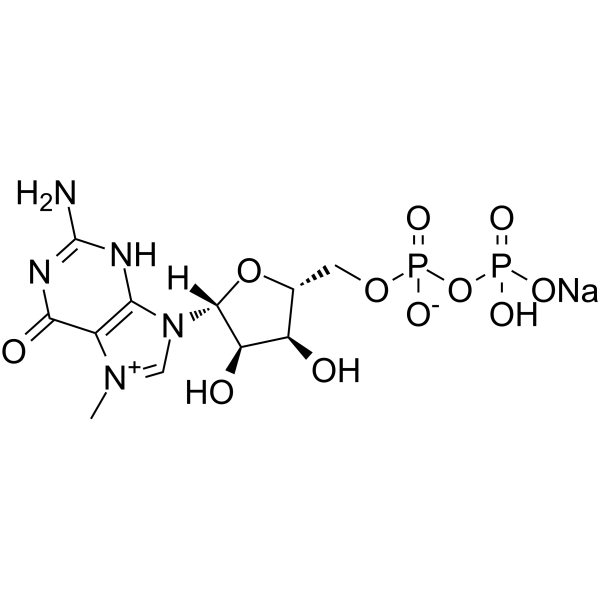 7-Methylguanosine 5&rsquo-diphosphate sodiumͼƬ