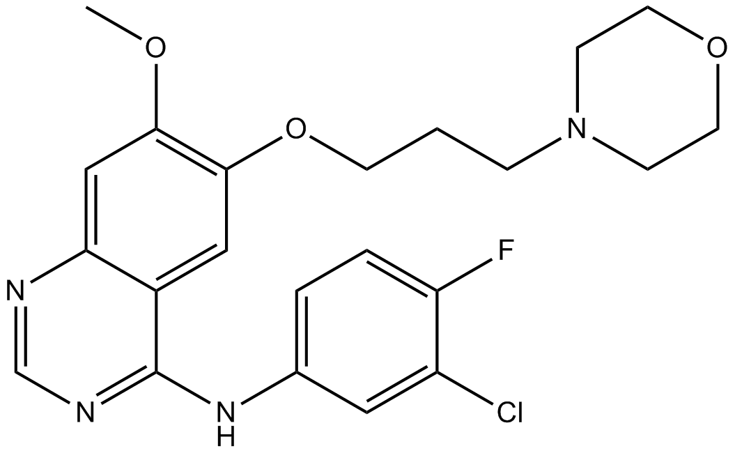 Gefitinib(ZD1839)ͼƬ