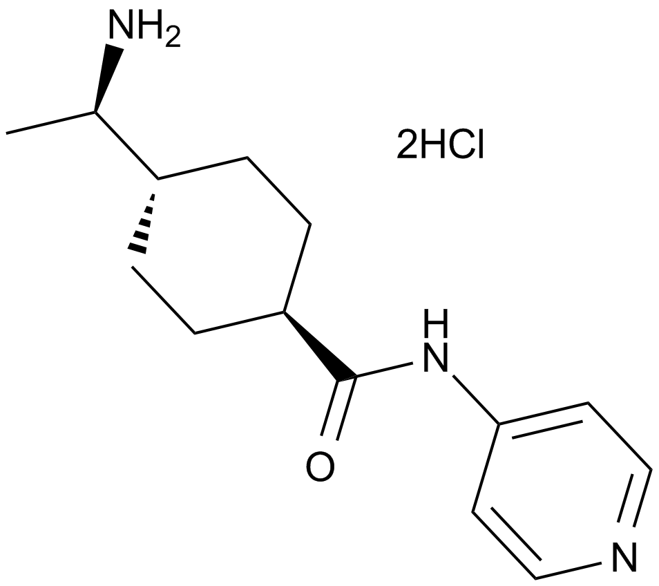 Y-27632 dihydrochloride图片