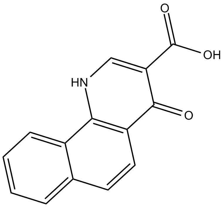 NSC 210902ͼƬ