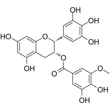 (-)-Epigallocatechin-3-(3''-O-methyl)gallateͼƬ