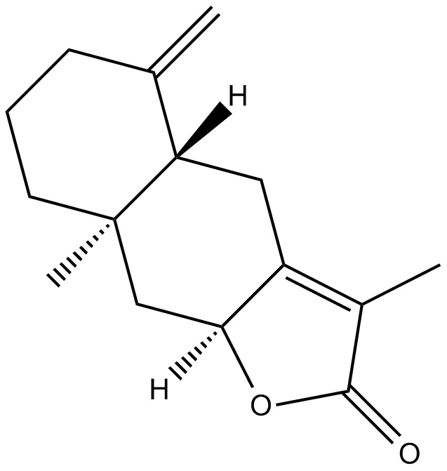 2-AtractylenolideͼƬ