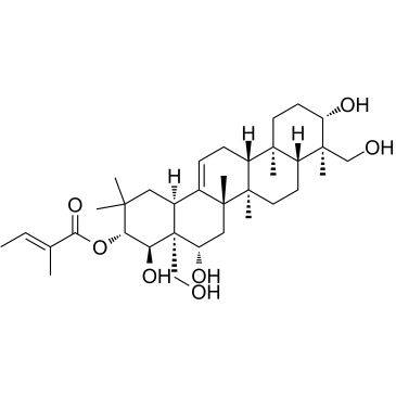 21-O-TigloylgymnemageninͼƬ