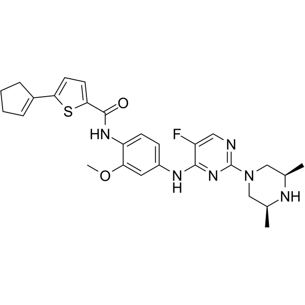 BCL6-IN-6ͼƬ