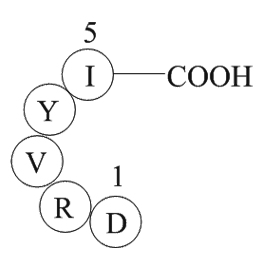 Angiotensin 1/2(1-5)ͼƬ