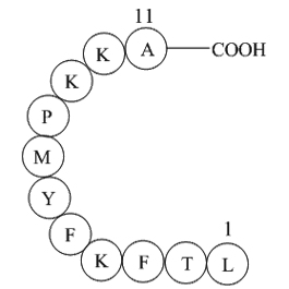 Interleukin II(60-70)ͼƬ