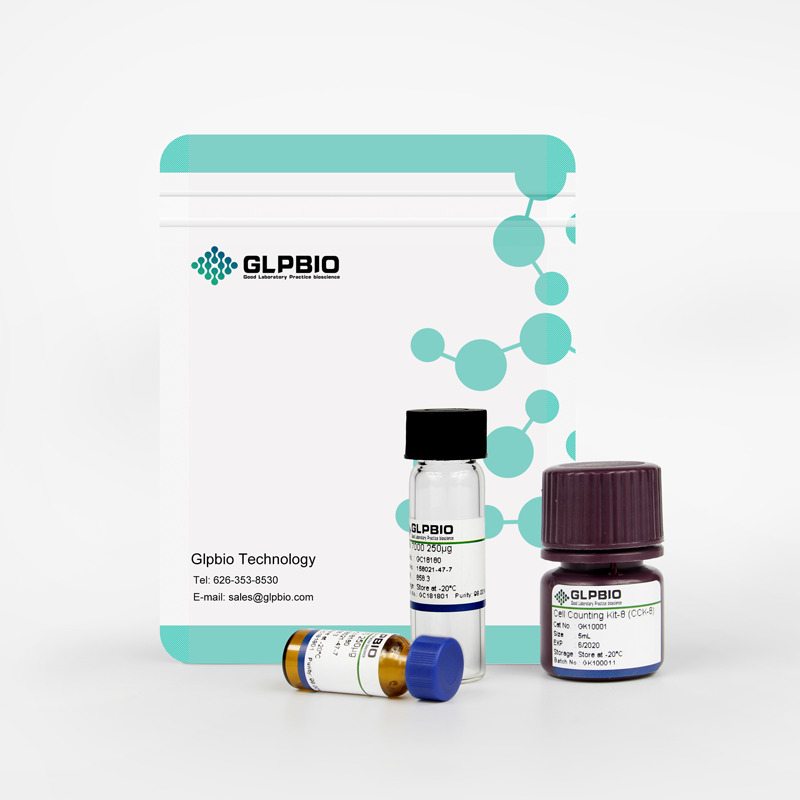 Lipo2000 Transfection ReagentͼƬ