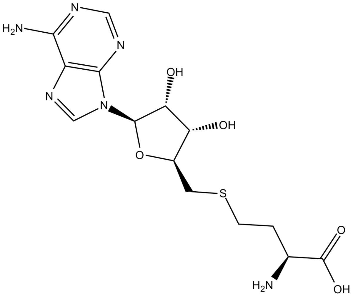 S-AdenosylhomocysteineͼƬ