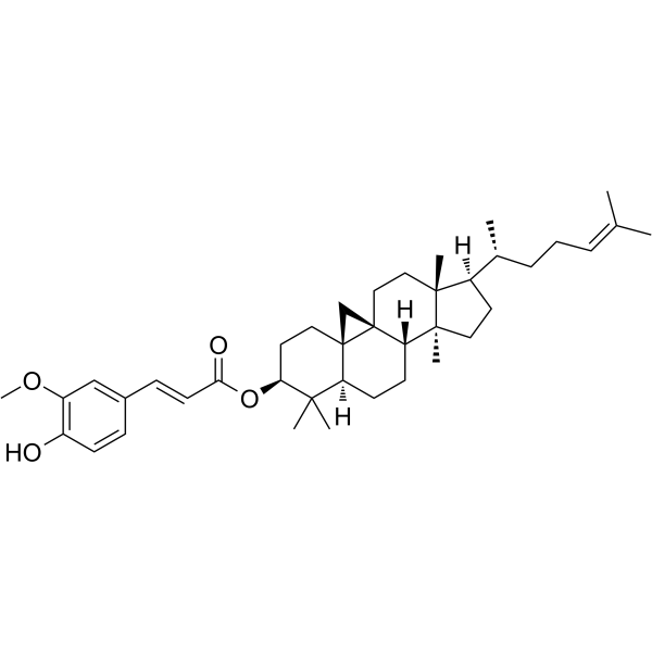 Cycloartenyl ferulateͼƬ