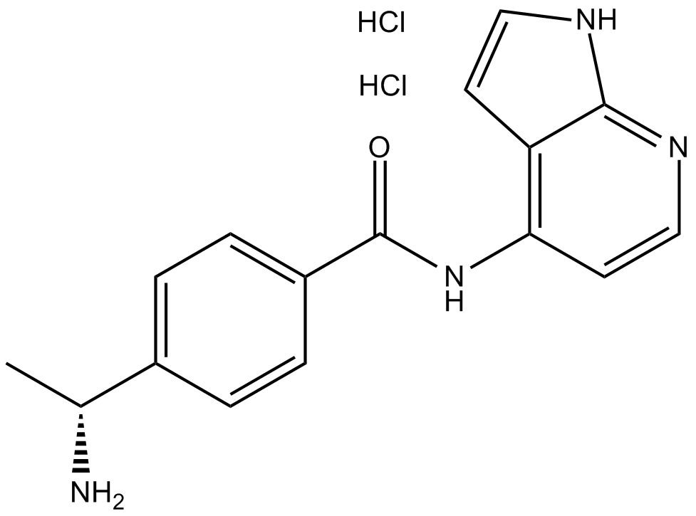 Y-39983 dihydrochlorideͼƬ