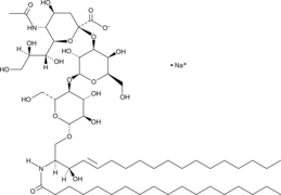 Ganglioside GM3 Mixture(sodium salt)ͼƬ